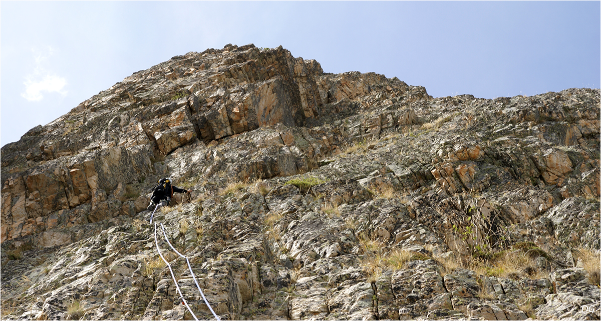 Tête de Sanglier (2653 m) - Fleurs de Rocaille.