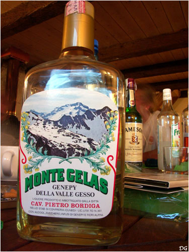 Genepy Monte Gelas