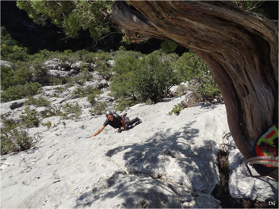 Gorges du Verdon - L'usage du Monde .