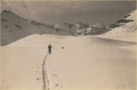 Ski de randonnée