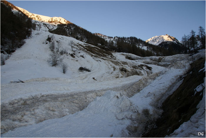 Le bas du vallon d'Anduébis, ravagé par une énorme avalanche, conséquence du surabondant enneigement de l'hiver 2009.