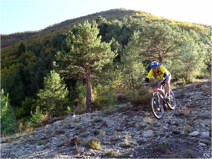 Fin de la descente du Bois de la Faye.