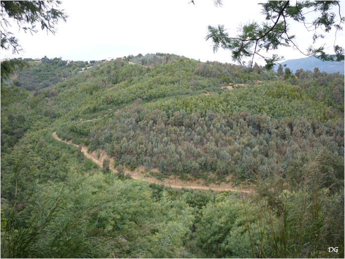 La piste de descente des Sausserons à Pégomas.