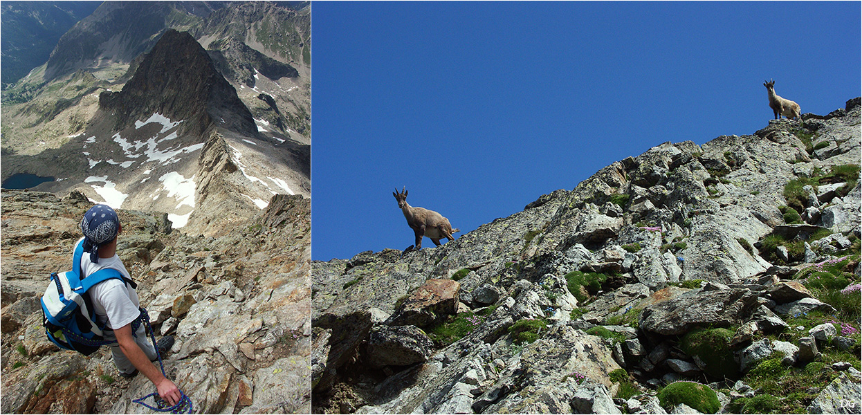 Cime du Gélas (3143 m) - arête WSW.