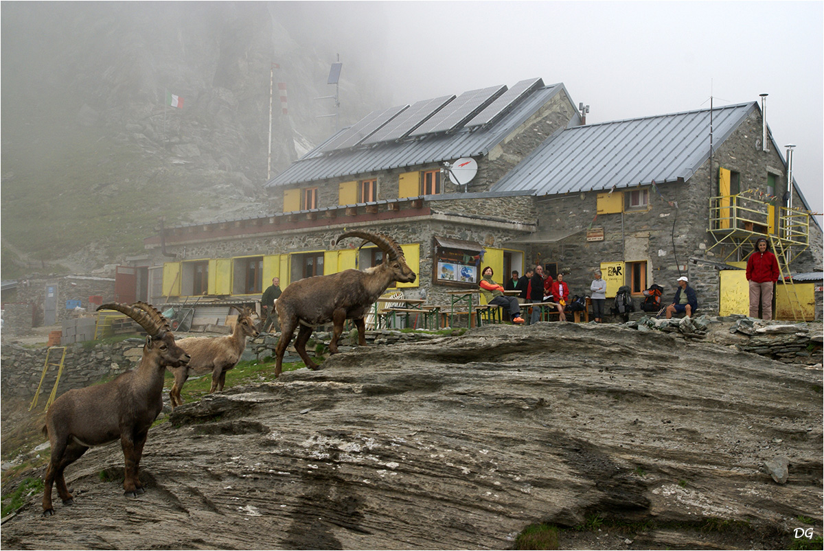 Refuge Vitale Giacoletti (2741 m).