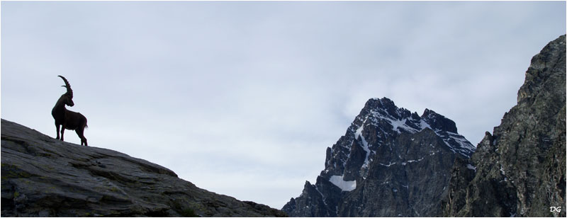 Sous l'oeil du Viso, géant des Alpes du sud.