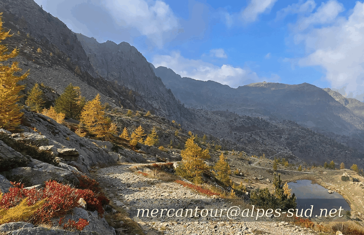 Adresse de contact Alpes-Sud.net