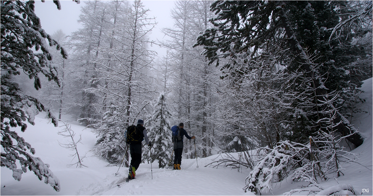 Pointe des Adus (2325 m) en circuit.