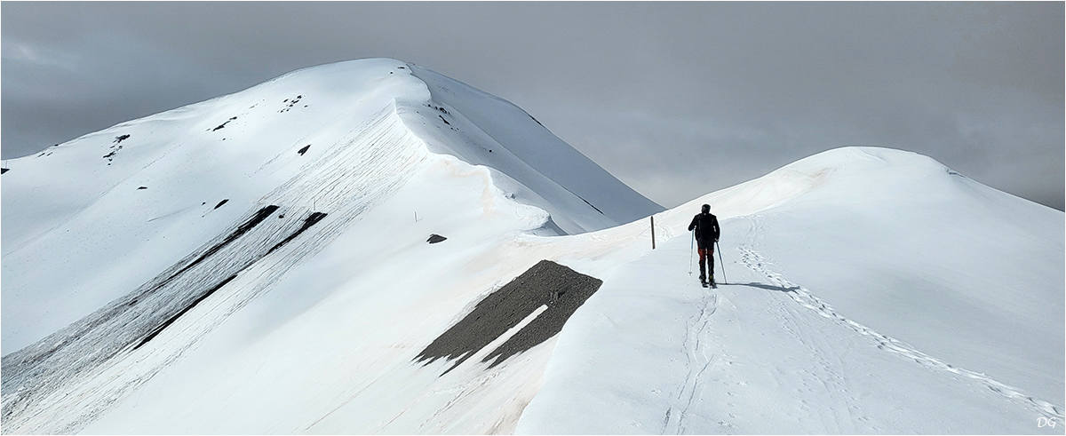 Cime de la Bonette (2860 m), depuis Bousiéyas - Tinée