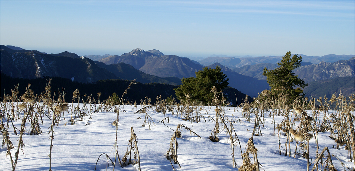 Mont Capelet Inférieur (2419 m) par la crête des Terres Rouges.
