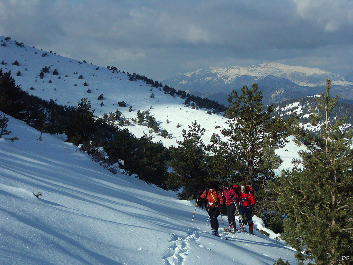 Cime du Cheiron par les crêtes de Jérusalem (1778 m).