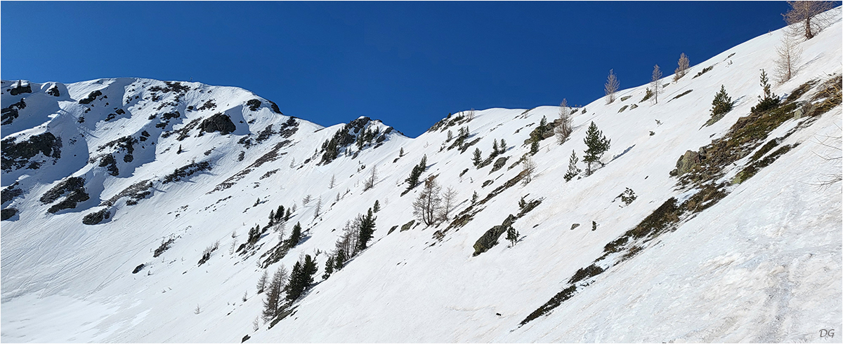Cime de Sistron (2603 m - Isola 2000) en traversée.