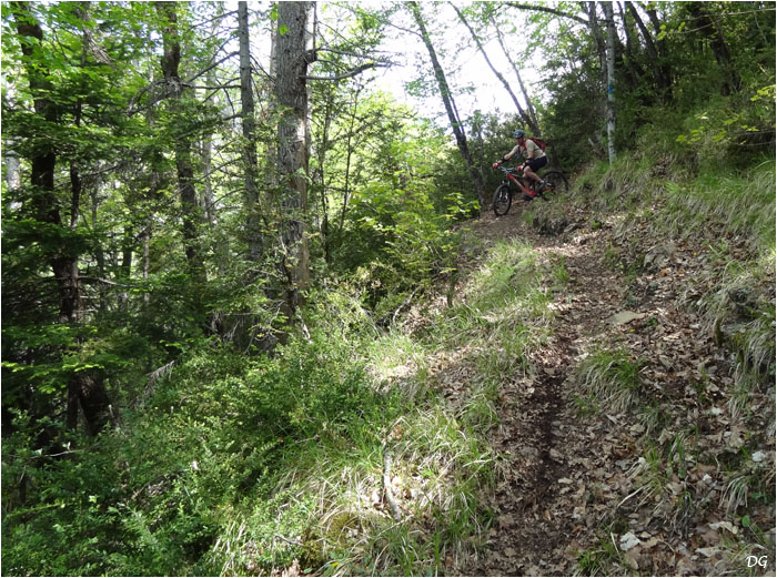 Enchaînement d'épingles sur le sentier de Ratapénau.