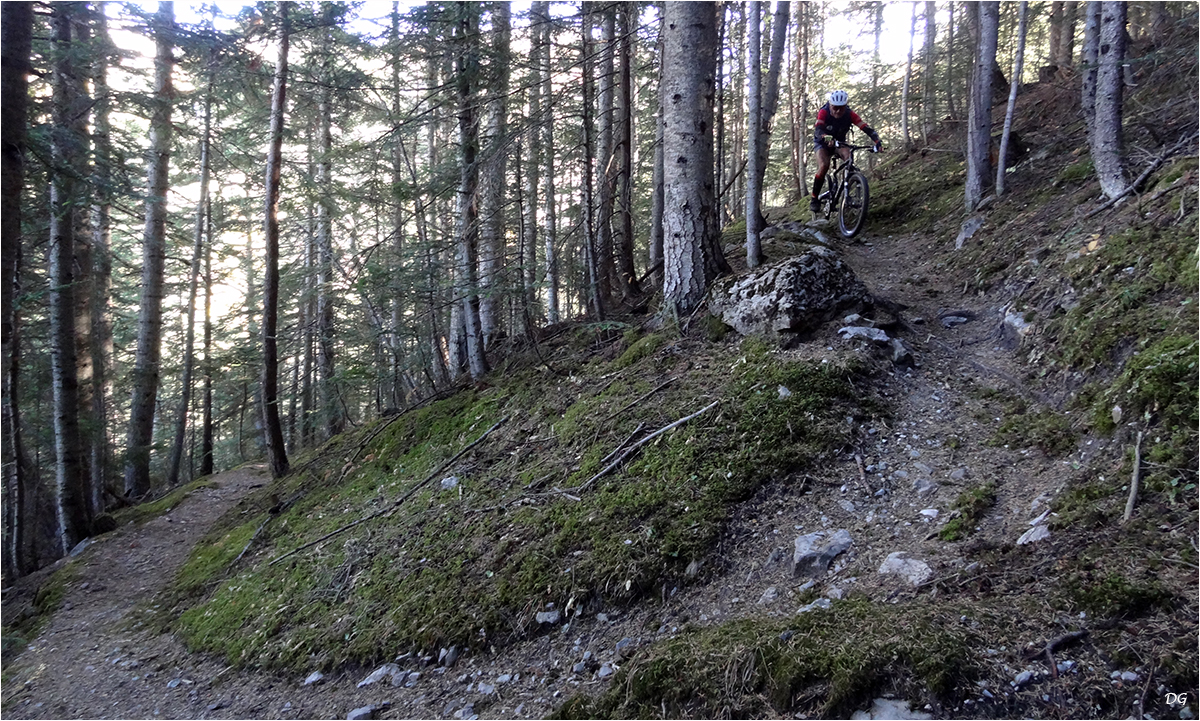 Col des Champs (2045 m) : en boucle depuis Colmars.