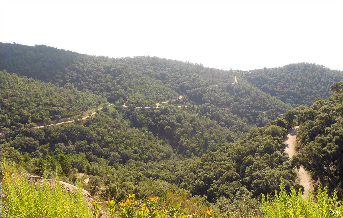 Circuit du Grand Duc (473 m).