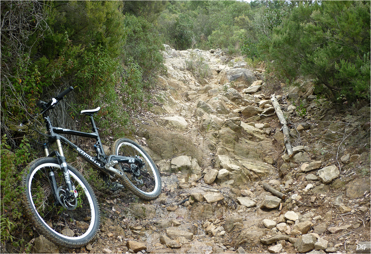 Tanneron : circuit du Gros Vallon.