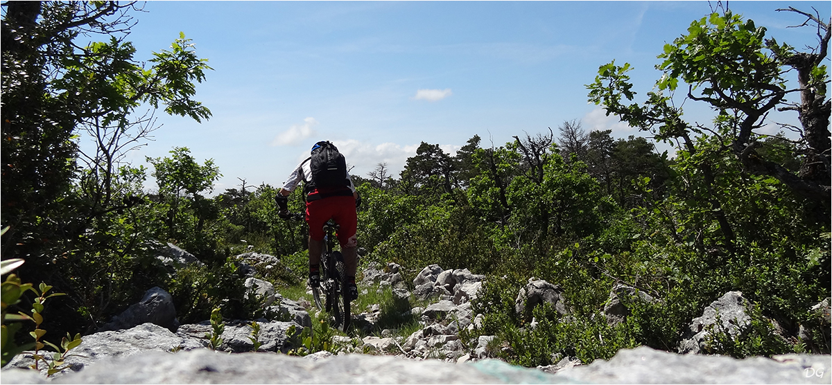 Mont Lachens (1713 m) : sommet et tour de la Montagne de Brouis.