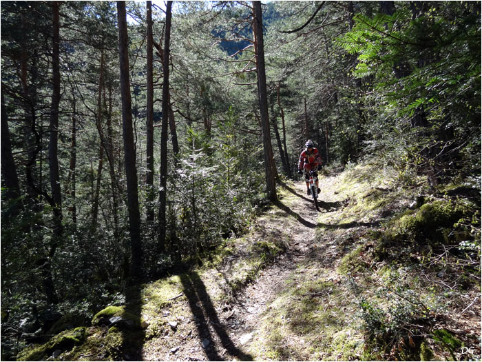 Somptueux sentiers en sous-bois, au programme de cette balade.