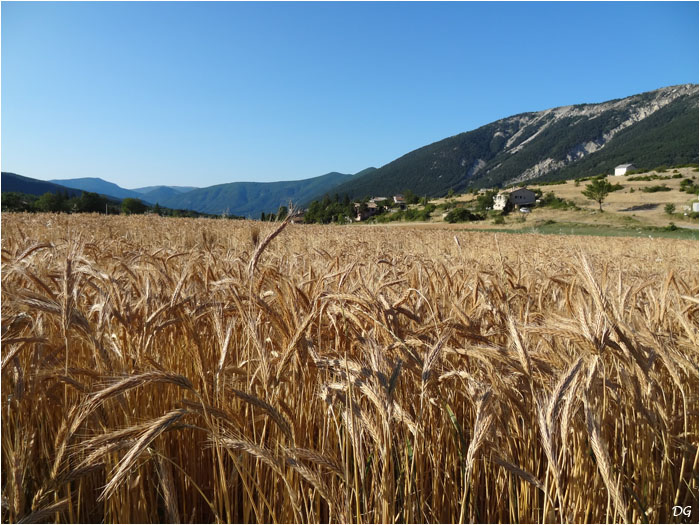 Méailles : une terre encore agricole.